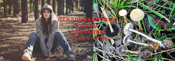 бошки Зеленокумск