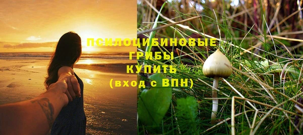 МДПВ Зеленодольск